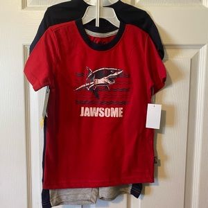 Lee 3 piece set (shorts and two shirts) size 5t